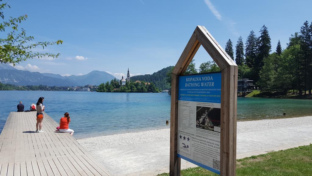 Sovica * Bled